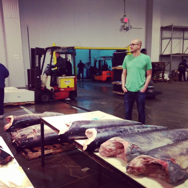 New Fulton Fish Market