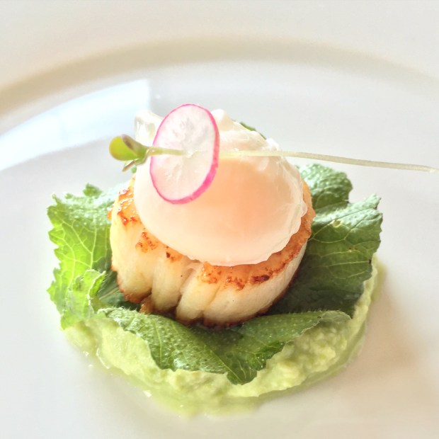 19948865876_4206216f48_o